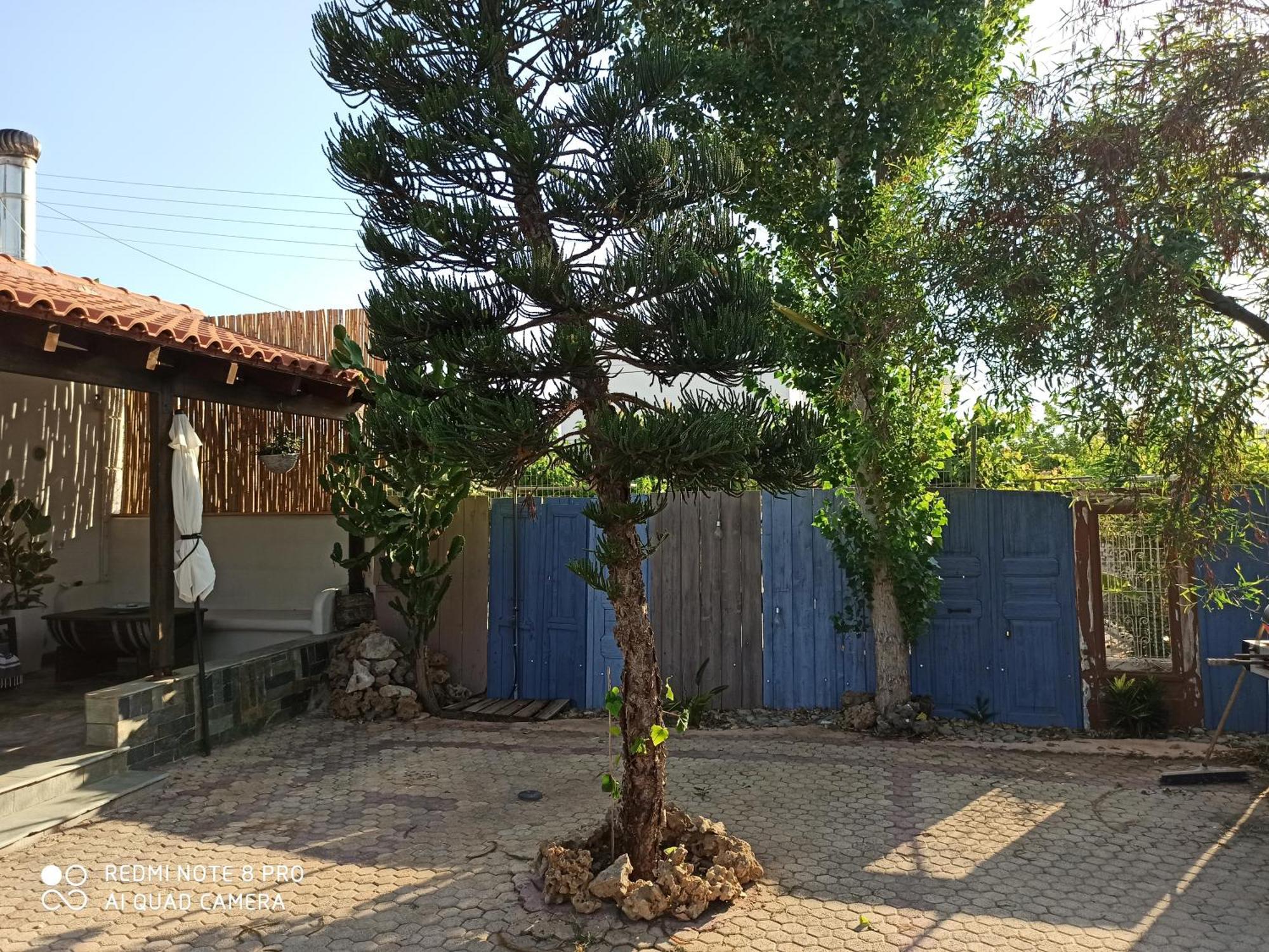 Cactus Home Каламакі Екстер'єр фото