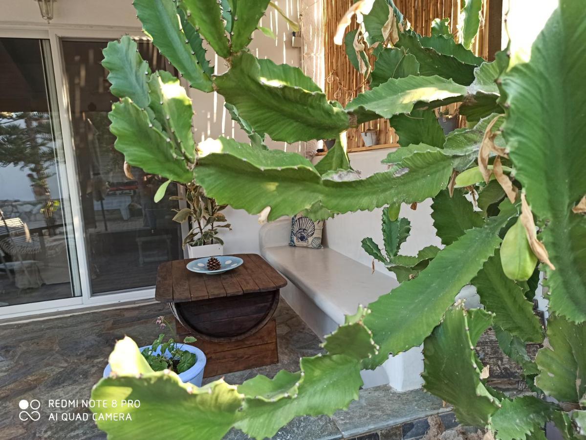 Cactus Home Каламакі Екстер'єр фото